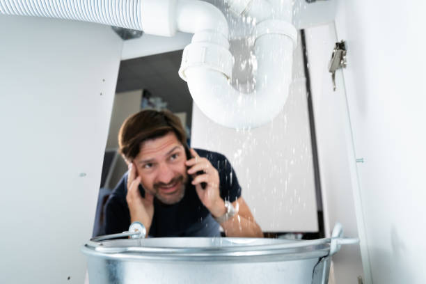 Best Sewer Line Replacement  in Parsons, TN